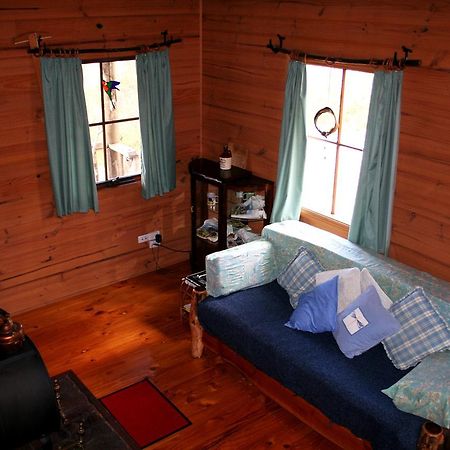 Moina Wombat Cabinヴィラ エクステリア 写真