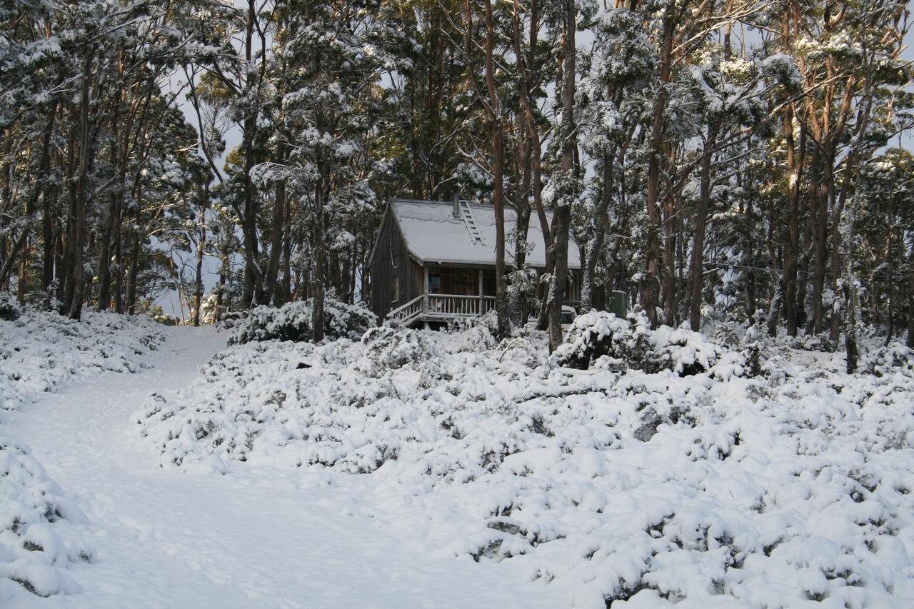 Moina Wombat Cabinヴィラ エクステリア 写真
